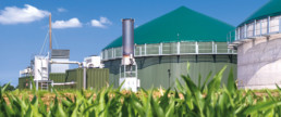 Biogas - Erneuerbare Energien