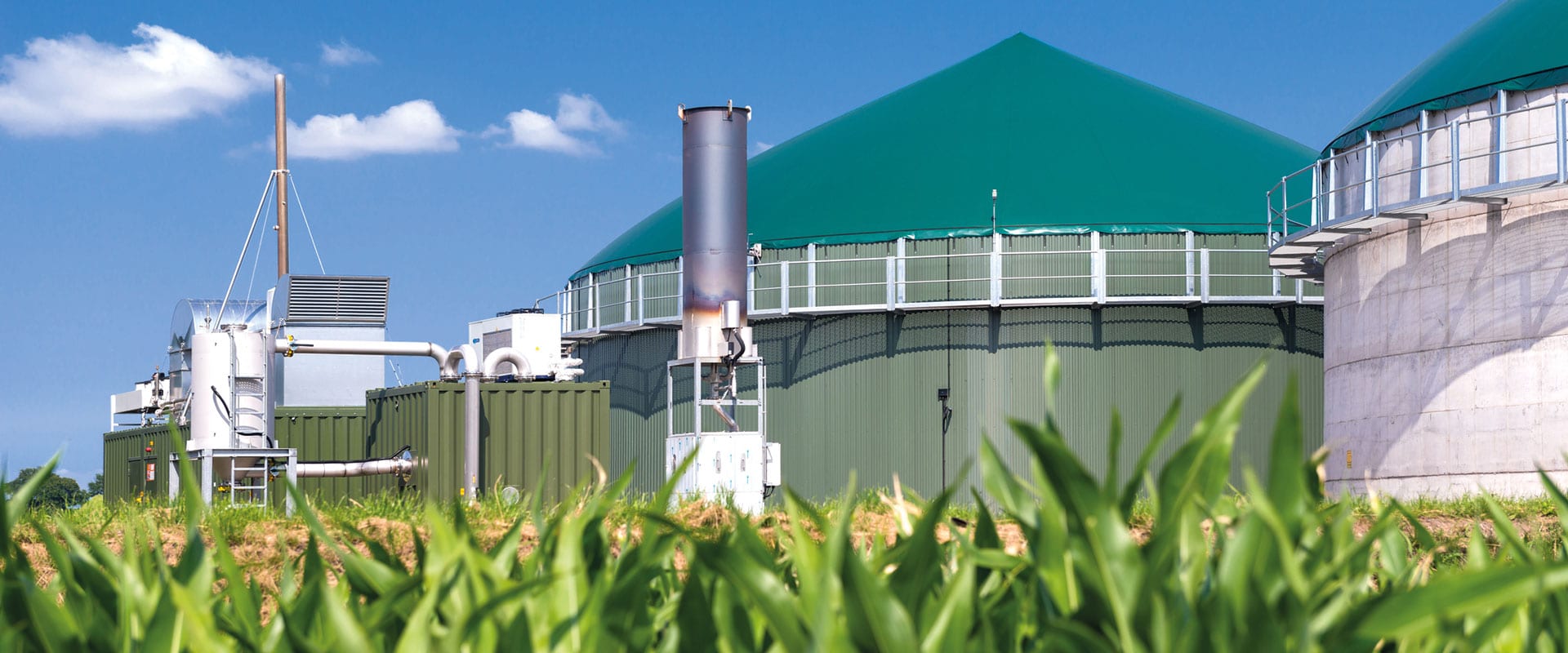 Biogas - Erneuerbare Energien